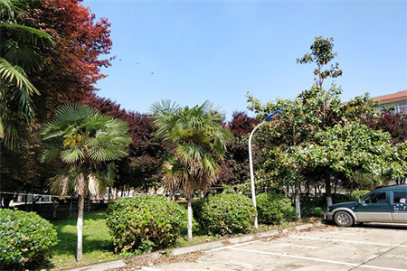 龙都现在成2室1厅1卫86.5㎡